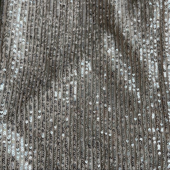 Loft 0 Silver Shiny Skirt MIDI Zip Back - Picture 4 of 4